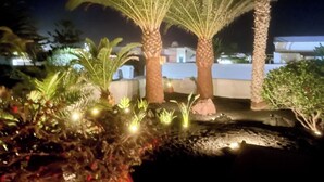 A nighttime view of a landscaped area with palm trees and small plants illuminated by lights.