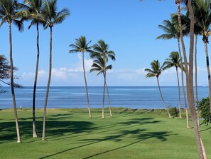 Campo de golf con palmeras y vistas al océano.