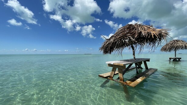 Un cielo azul despejado, una mesa de madera con un toldo de paja y agua turquesa tranquila.