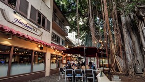 A Japanese restaurant with outdoor seating, a large tree, and a building with a sign. - Hilton Hawaiian Village Lagoon Tower (Honolulu)