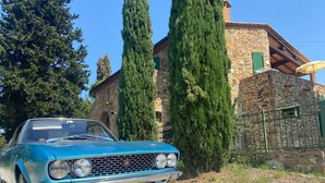A classic blue car parked in front of a stone building with a green door and a stone wall.
