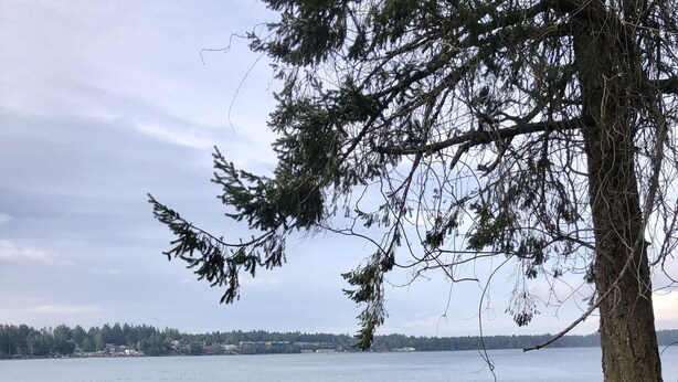 A wooden deck with a bench and a table, overlooking a rocky shoreline and a body of water. - Oceanfront Nanoose Bay stunning views condo sleeps 6 (Nanoose Bay)
