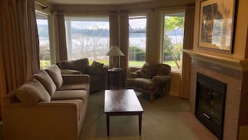 TV, fireplace, DVD player, books