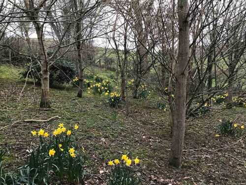 Converted Stone Barn -20 Acres - Farm Animals!