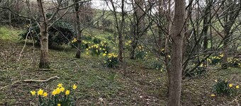 Converted Stone Barn -20 Acres - Farm Animals!