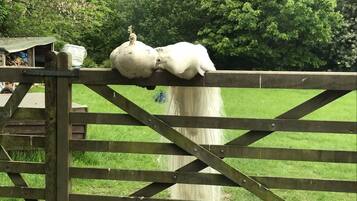 Småhus | Eksteriør