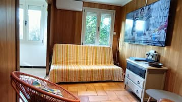 Televisión, chimenea y reproductor de DVD