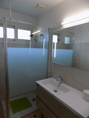 Shower, hair dryer, toilet paper