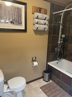 Combined shower/tub, hair dryer, towels, soap