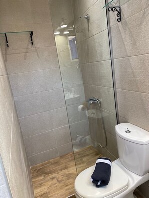 Shower, hair dryer, towels, toilet paper