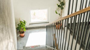 Una escalera con barandilla de metal, una planta en maceta en el rellano y un ventanal con luz natural.