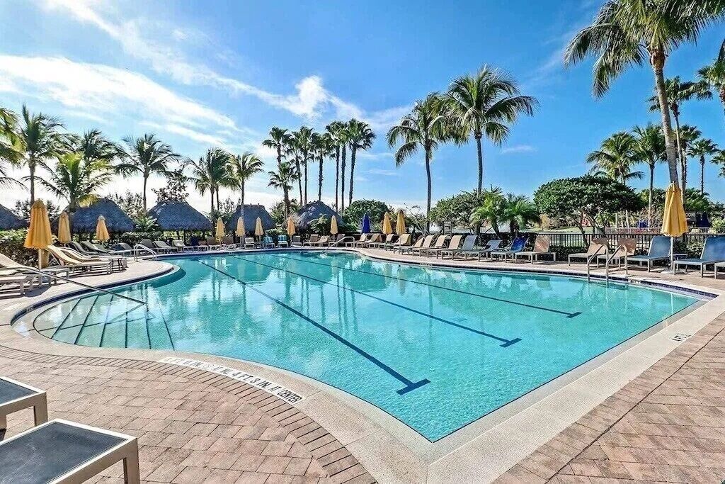 A swimming pool with lounge chairs and umbrellas, surrounded by palm trees.