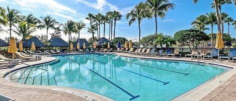 A swimming pool with lounge chairs and umbrellas, surrounded by palm trees.