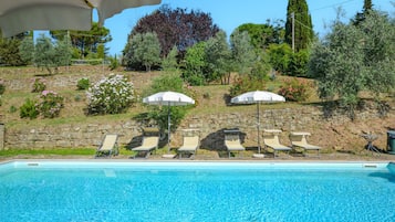 Outdoor pool, sun loungers