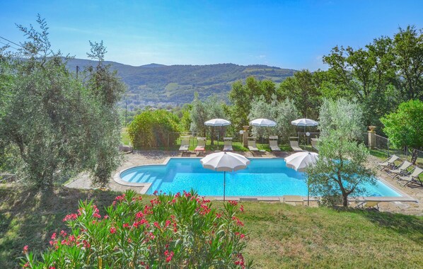 Outdoor pool, pool loungers