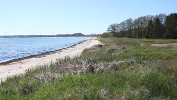 In Strandnähe, Angeln