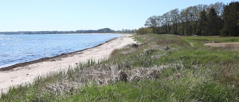 Plage Ă proximitĂ©, pĂȘche sur place