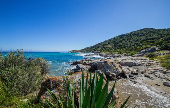 Plage à proximité