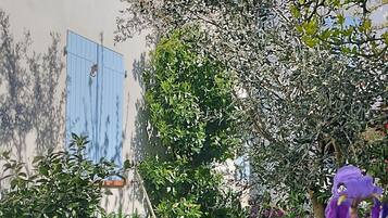 DĂ©tail de lâextĂ©rieur