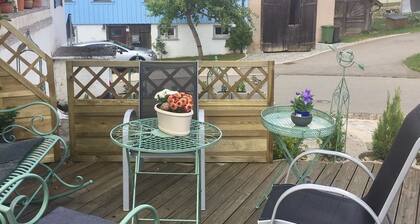 Cozy small apartment beautiful hiking trails right outside the door