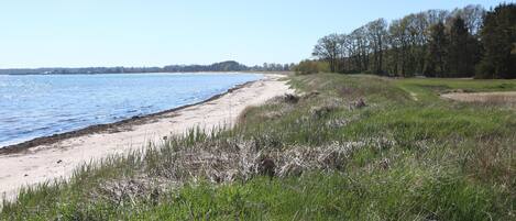 Beach nearby, fishing