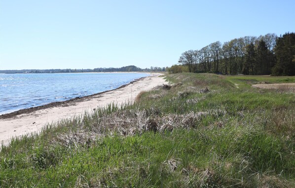 Nära stranden och fiske