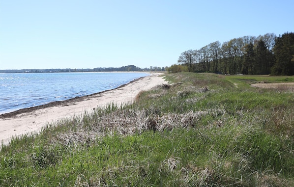 NĂ€ra stranden och fiske