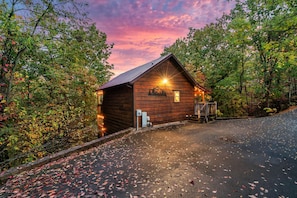Exterior - Free Dollywood Tix+MtnViews+Pool+Couples+DogsOK (Sevierville)