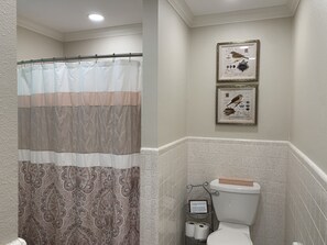 Combined shower/bathtub, hair dryer, towels, soap