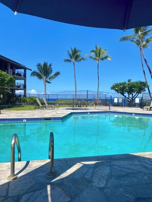 Pool - Cozy 1-bedroom + loft in Ocean Front Complex, 2 Lanai's and WiFi in Kailua-Kona. (Kailua-Kona)