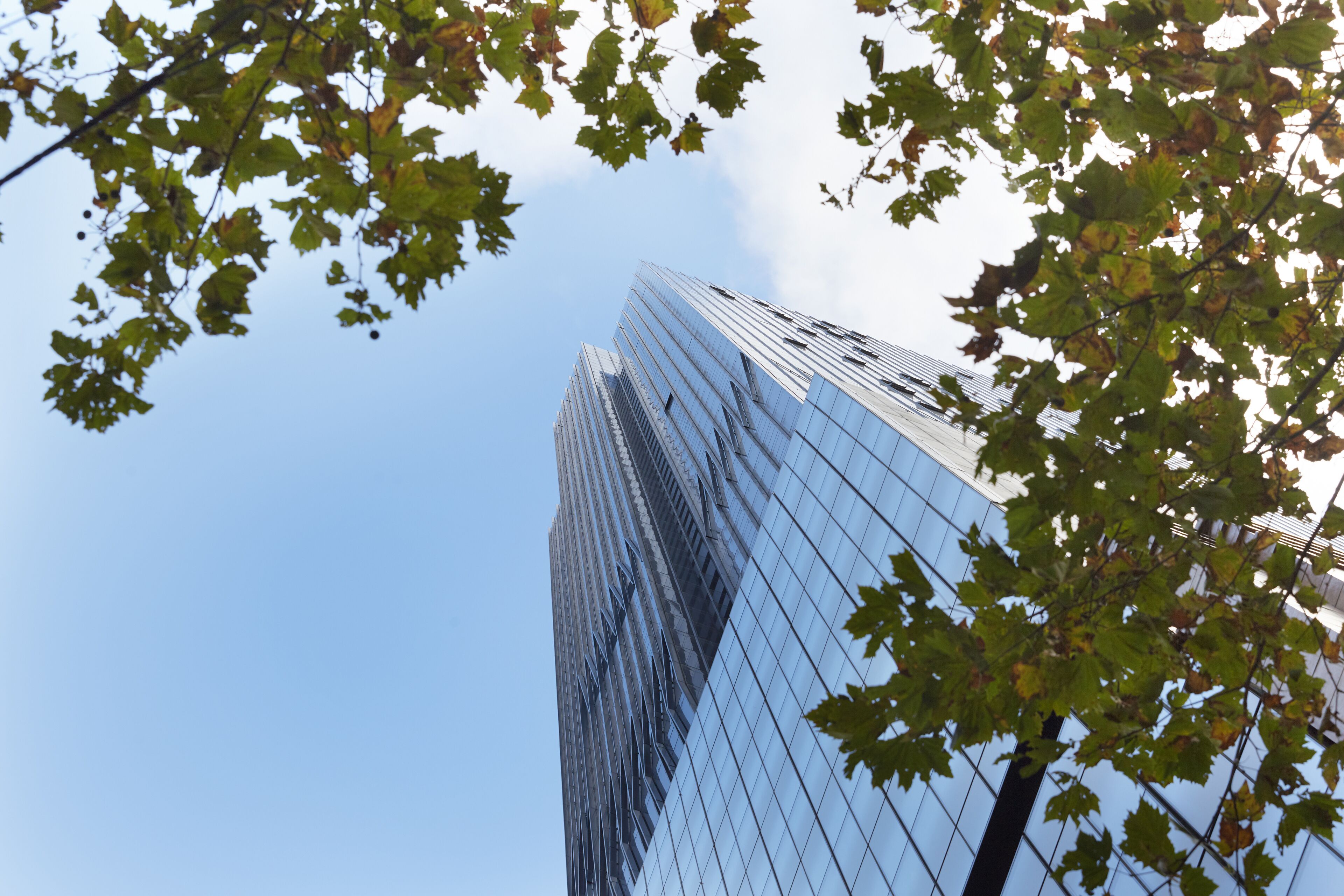 Home away Home, 2 Bedroom 1 bathroom+ Great View+ Central location+ Free Wifi