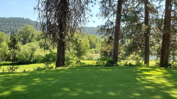 A lush green landscape with a lake, surrounded by tall trees and a forested hill in the background. - The Perfect Place (Leavenworth)