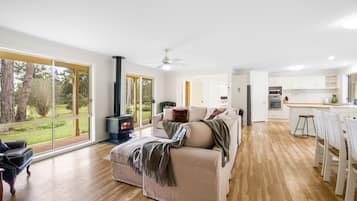 Smart TV, fireplace, toys