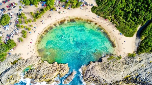 An aerial view of a beach with a clear turquoise lagoon, rocky coastline, and several parked vehicles. - The Green House in Vega Alta, Zen zone close to the beach (Vega Alta)
