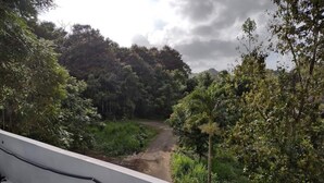 A concrete pathway leading into a forested area with dense greenery and trees. - The Green House in Vega Alta, Zen zone close to the beach (Vega Alta)