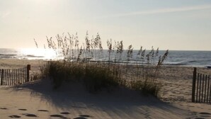 Une plage avec du sable, des algues et une clôture.