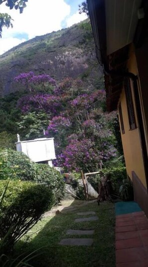 Área da propriedade