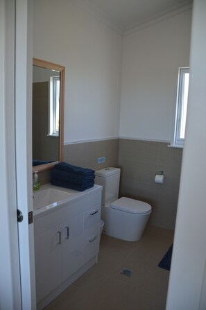 Combined shower/bathtub, hair dryer, towels, soap