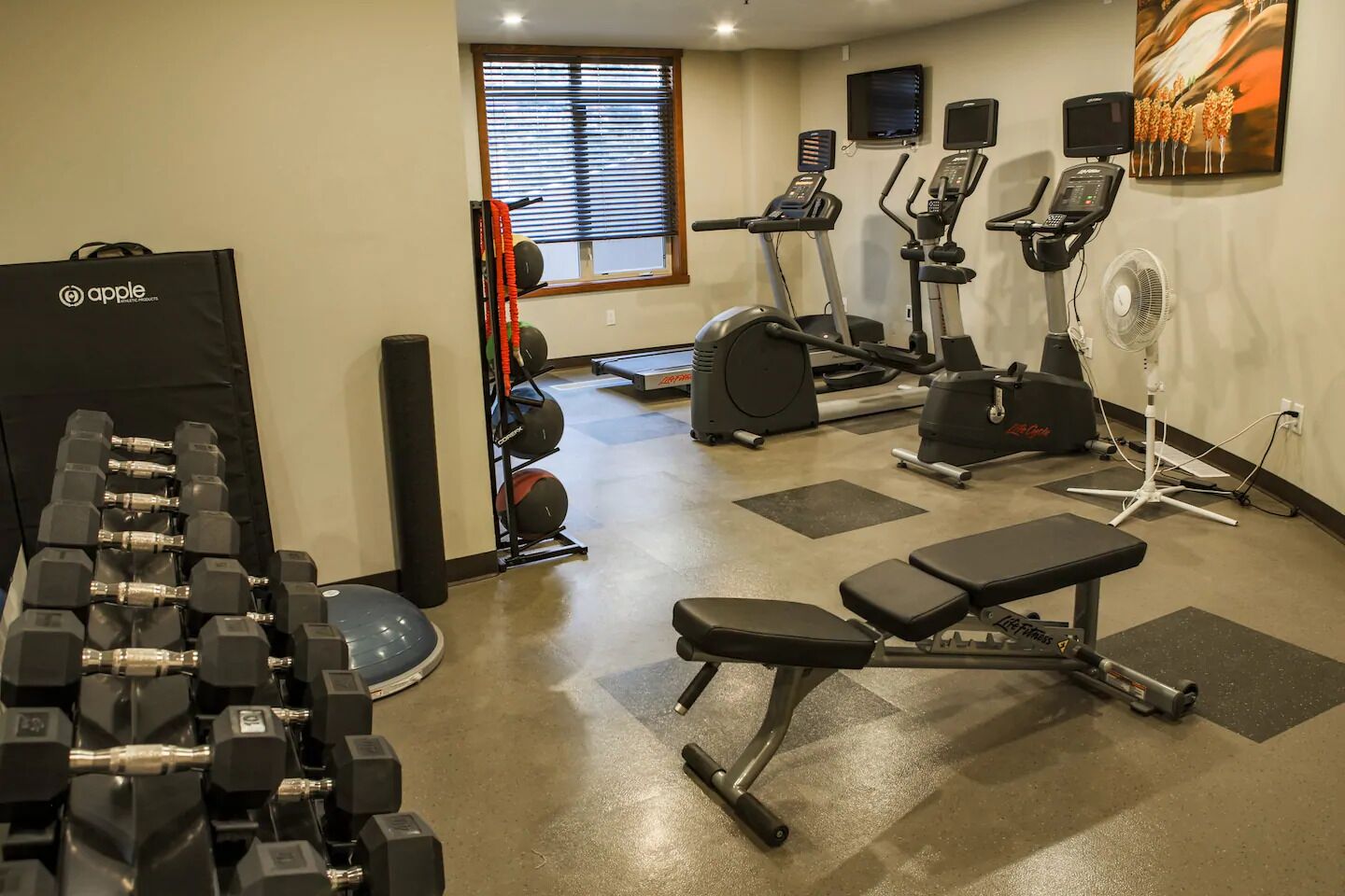 A gym with various exercise equipment including dumbbells, a bench, treadmills, and a stationary bike.