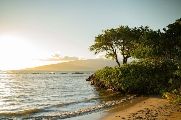 Playa en los alrededores, camastros y toallas de playa 