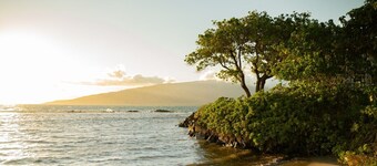 Sleeps 4, Full kitchen & AC. Pool, hot tub, tennis court, bbq grills! And Beach!