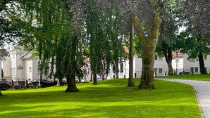 Un área verde bien cuidada con árboles maduros y un sendero pavimentado.