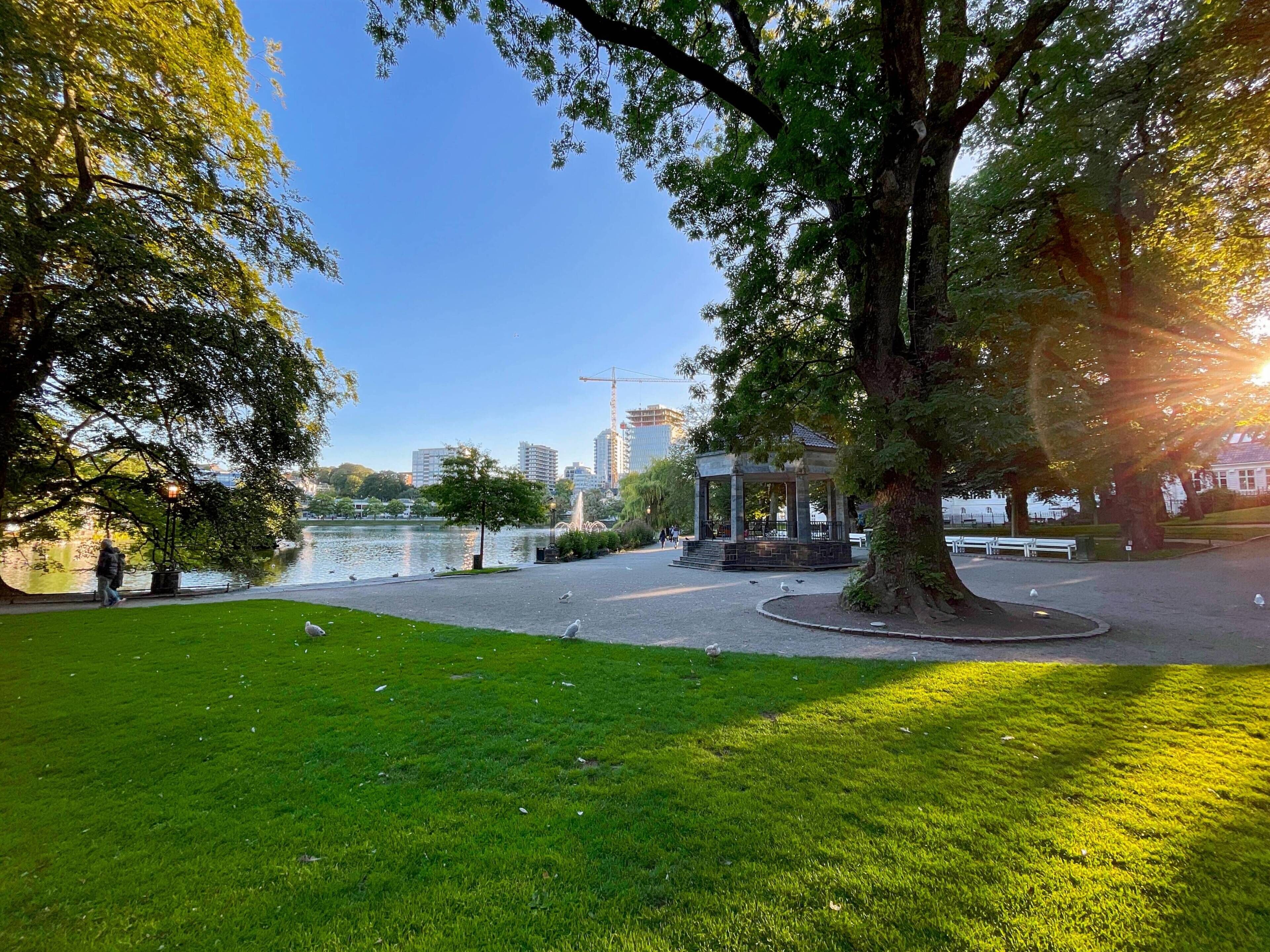 A park with a gazebo, a lake, and a distant cityscape.