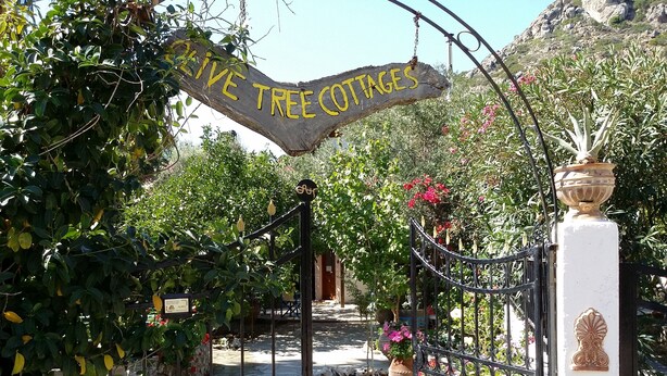 A wrought iron gate with a sign reading "Live Tree Cottages".