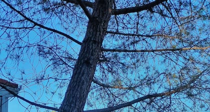 Casa Rural Con Espectaculares Vistas Al Lago