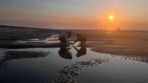 A beach scene with the sun setting over the horizon, people walking along the shore, and footprints in the wet sand. - Northseachalets Ameland (Buren)