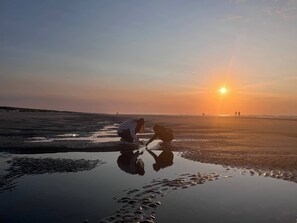 Bungalow, 2 soverom, balkong | Strand | Nær stranden