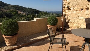 A terrace with a table and chairs, a potted plant, and a large umbrella.