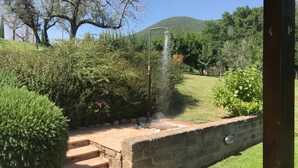A garden with a water feature, steps leading to a covered area, and a mountain in the background.