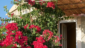 Un edificio de piedra con una pérgola de madera y flores rojas vibrantes.
